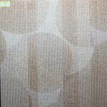 3D ink jet glazed porcelain tile B6076