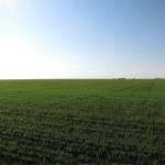 8.710 hectares crop - and dairy farm in Russia