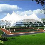 Architecture Membrane Structure SL665