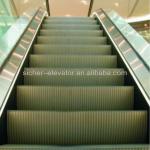 Autostart Passenger Escalator GRE30