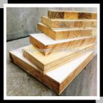 best price of blockboard/laminated blockboard TR-Block00151