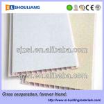 Best professional manufacturer of PVC ceiling decorative pattern wall and ceiling design