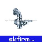 Brass Body Push Button Pressure Toilet Flusher