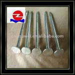 BWG9x2.5&#39;&#39; Hot Dipped Galvanized Clout Nails 2.8-3.2mm