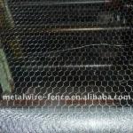 Chicken Wire Netting HWN-07