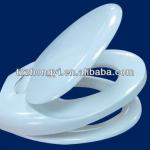 child and adult toilet seat