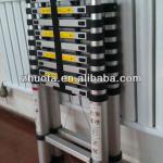 Combination telescopic ladder L022