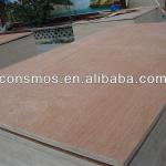 Commercial plywood,keruing plywood, 18mm keruing face plywood for indian market CM-CMP