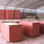 Construction Formwork