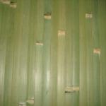 eco-friendly green bamboo wallpaper BPAPER 02