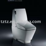 Electronic bidet TZ-8701A