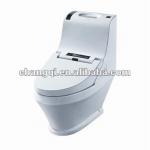 Electronic bidet with CE/WATERMARK Certificate with remote control Electronic bidet ZJ-68B