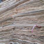 Eucalyptus core veneer for making plywood from Viet Nam