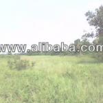 FARM LAND