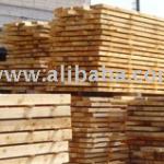 forest, build forest
