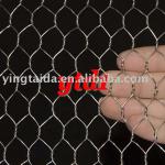 Galvanized hexagonal wire mesh