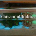 Glow Stone for Aquarium HK