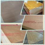 Good Price High Quality melamine plywood&amp;plywood price/cheap plywood/okoume plywood Commercial plywood