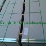 Gypsum board for partitions system