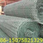 hexagonal wire mesh HWM NO.1