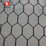 hexagonal wire mesh/chicken wire/Anping hexagonal mesh Hengyou
