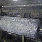 Hexagonal Wire Mesh(PVC&amp;Galvanized) WIRE MESH