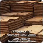 HIGH QUALITY EUCALYPTUS VENEER IN VIETNAM HHW-07