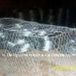High quality stone cage net (factory)