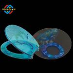 Led Blue Light Toilet Seat, led luminous toilet seat,led colorful easy running toilet set MG09S0403