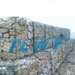 manufacturer Gabion Baskets(Hexagonal Wire Netting) TLWY-235