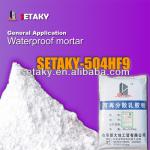Manufacturery redispersible polymer powder VAEpowder polymer resin powder 504HF9