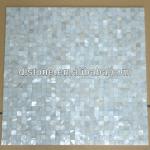 Mirror glass shell mosaic dls