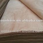 okoume veneer okoume wood veneer