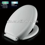 P06 European standard toilet seat