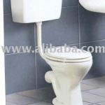 Pcistem Toilet Bowl(169P)