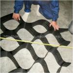 Plastic Grass Paver Geocell Manufacturer