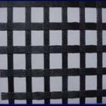 Polyester Geogrid