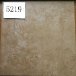 Porcelain tile 20&quot;x20&quot; 5219