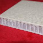 PP Honeycomb Reinforced FRP Fiberglass Composite Panel for Wall&amp;Floor FSP