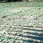 PVC Coated Sack gabion