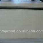 Raw MDF 1220*2440