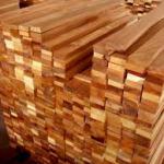 Savina Sawn Timber