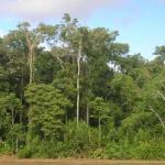 sell farm in Brazil with 23121 acre