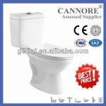 SIPHONIC TWO PIECE TOILET BOWL
