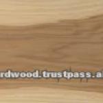 Soft Maple sawn lumber/timber