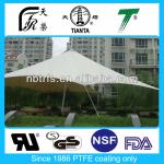 structure PTFE membrane TAF