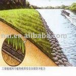 Three dimensional plant mat F13014