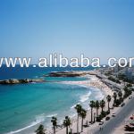tourist hotel for sale
