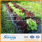 Vegetable Farms Weed Block/Landscape Fabric/Weed Cloth starring
