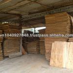 Viet Nam Eucalyptus core veneer top quality TD-EV01